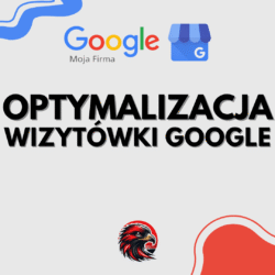 OPTYMALIZACJA wizytowki google 2