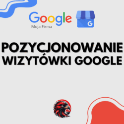 POZYCJONOWANIE WIZYTOWKI GOOGLE 2