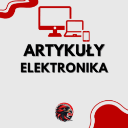 Elektronika