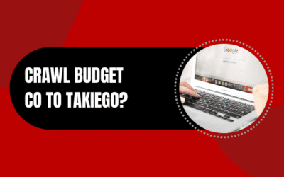 Crawl budget – co to jest i jak go optymalizować?