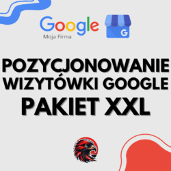 POZYCJONOWANIE WIZYTOWKI GOOGLE XXL