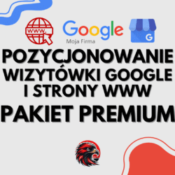 strona www wizytowka xxl ()