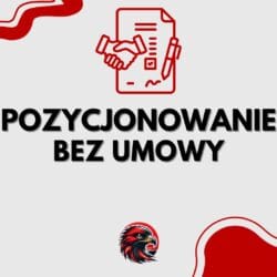 POZYCJONOWANIE W bez umowy